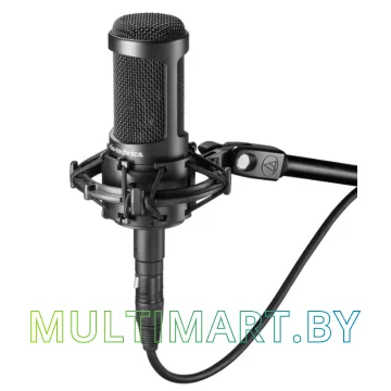 Микрофон Audio-Technica AT2050